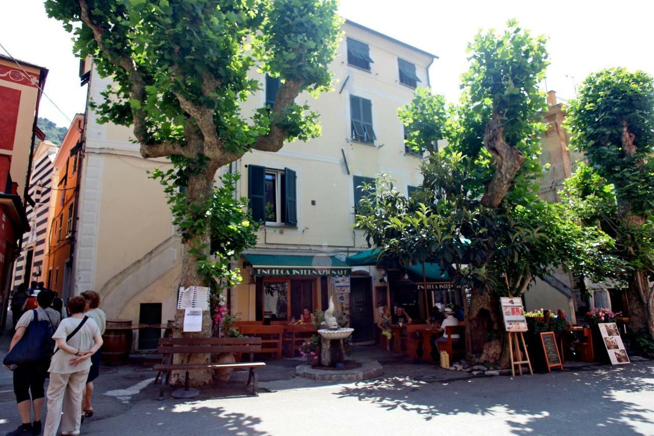 Appartement Bellambra Deluxe